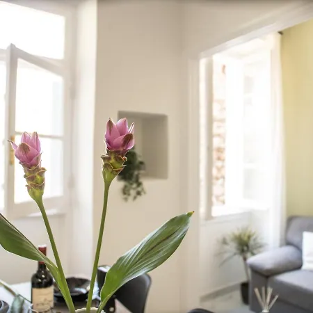 公寓 Casa Cantonale Corfu (city)