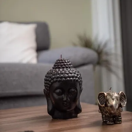 Casa Cantonale 公寓 *