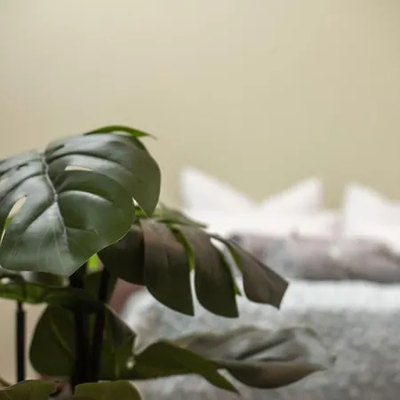 公寓 Casa Cantonale